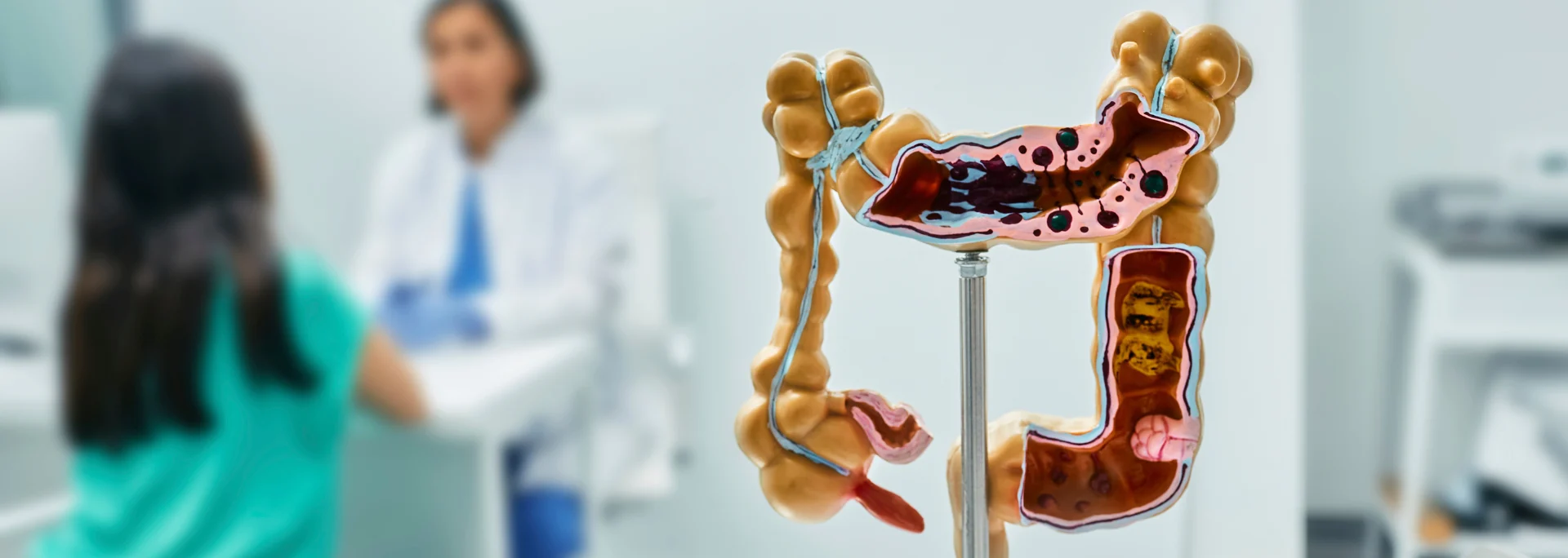 Gastroenterology service banner