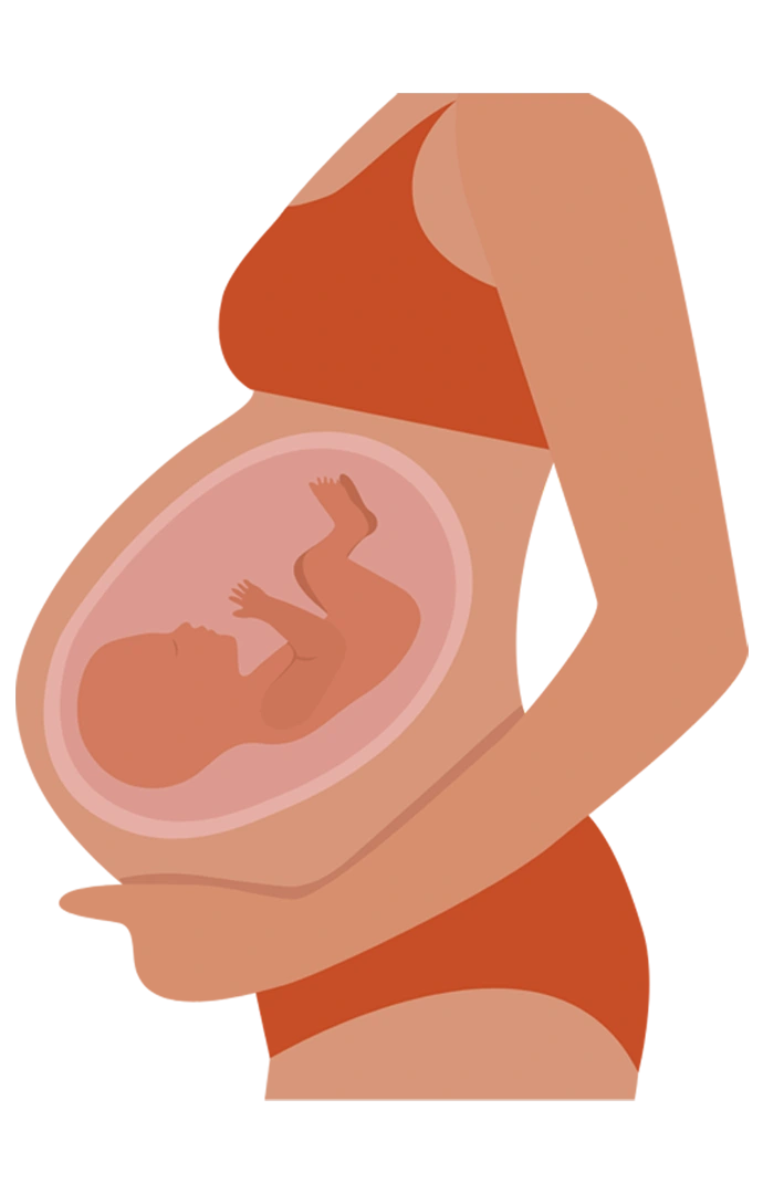 Gynaecology-&-Obstetrics-icon