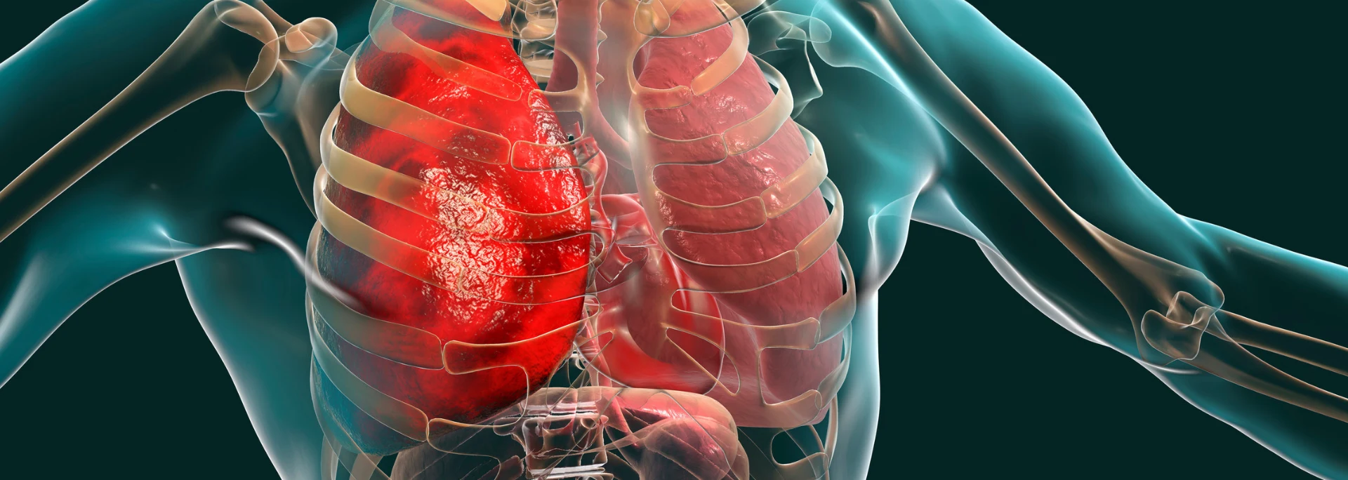 Pulmonary Medicine service banner