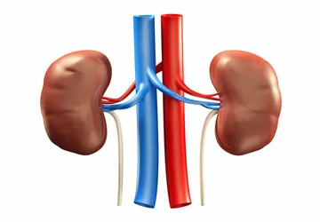 nephrology & dialysis unit